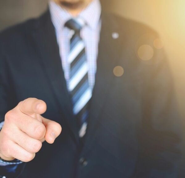 high authority seo campaigns